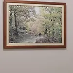 δ5-τα του δασκάλου Filiatra